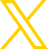 x icon