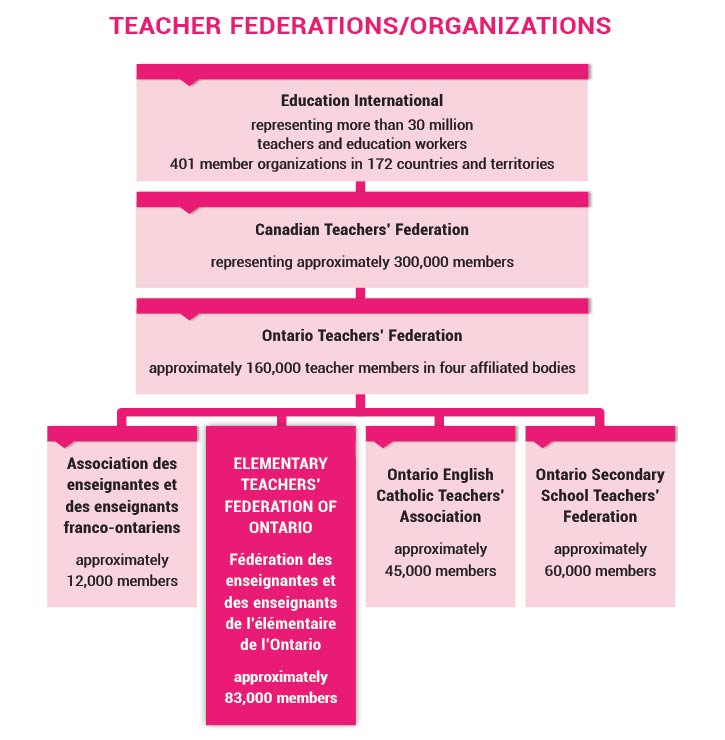 Teacher Orgs Infographic